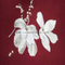 //iqrorwxhrioroq5q.ldycdn.com/cloud/liBqoKqrRoqSkmrnlqlp/XT19129BS-9a-60-60.jpg