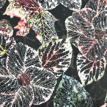 Fancy printed women dresses fabric polyester 75D chiffon fabric 